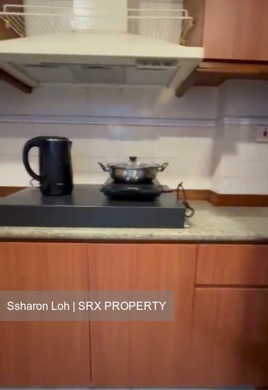 Dover Parkview (D5), Condominium #490945261